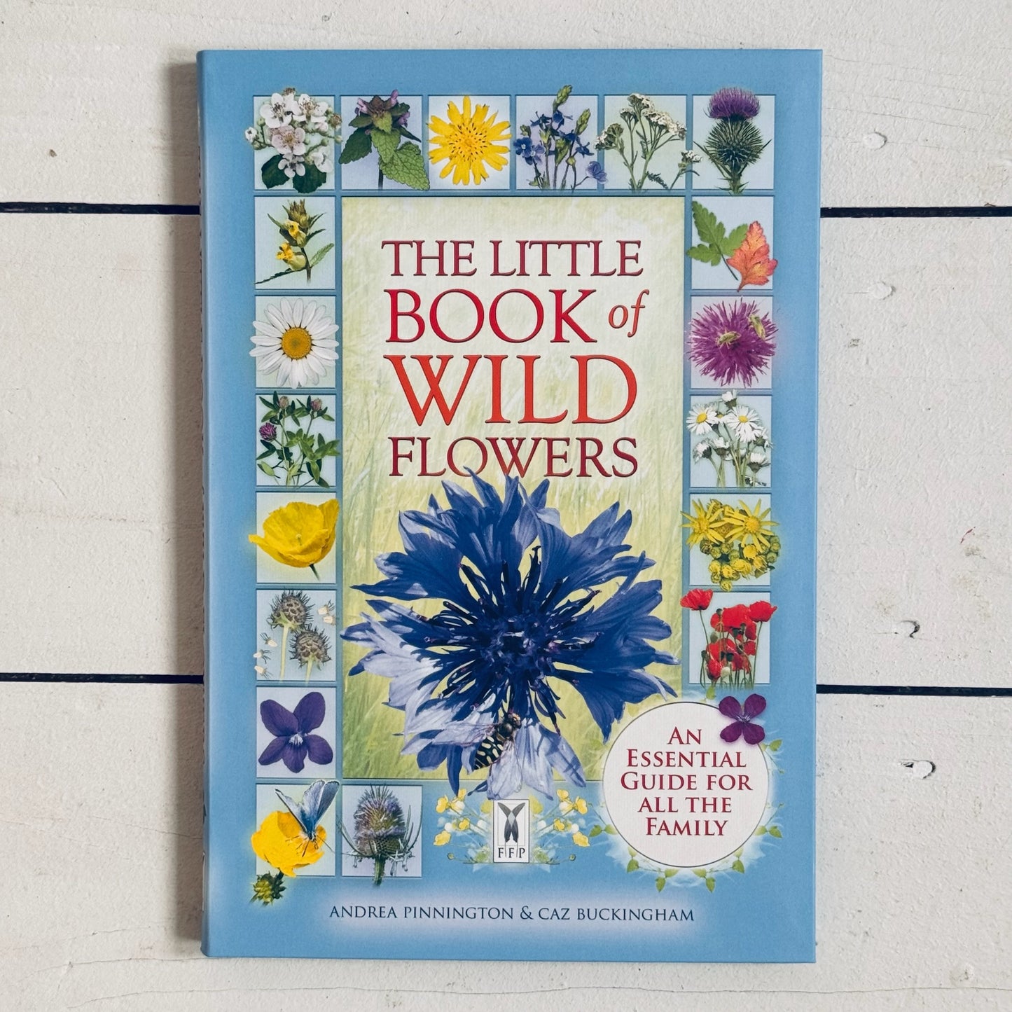 Little Book of Wild Flowers