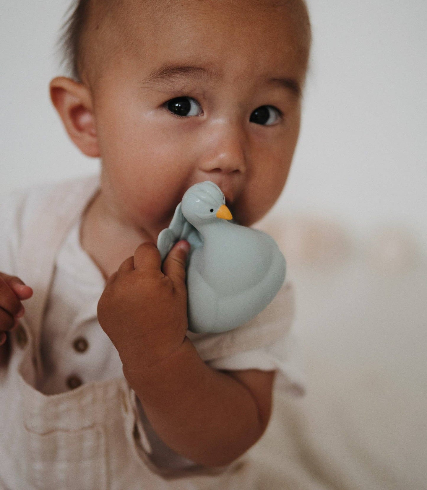 Natural Rubber Bath Toy | Light Blue Peacock