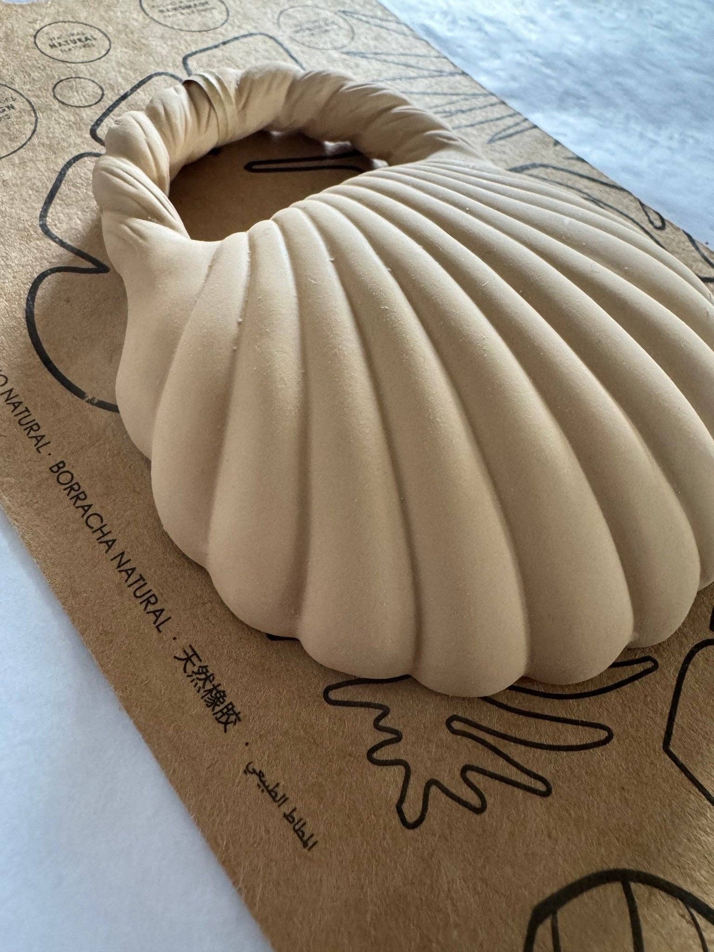 Natural Rubber Teether | Clam