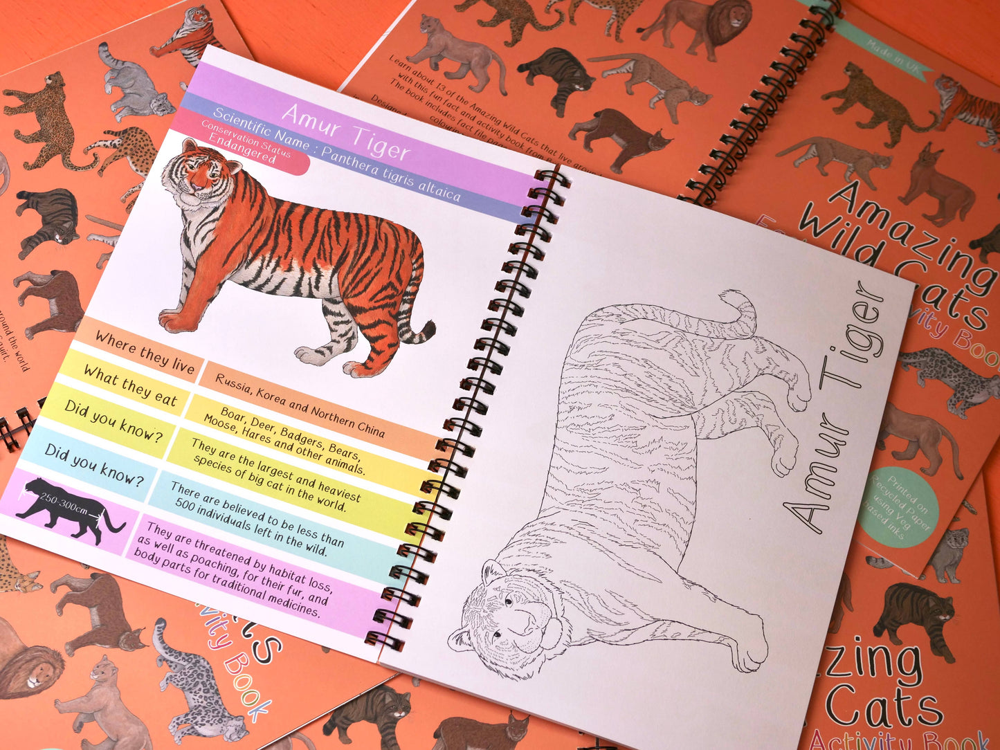 Amazing Wild Cats Fact and Activity Book