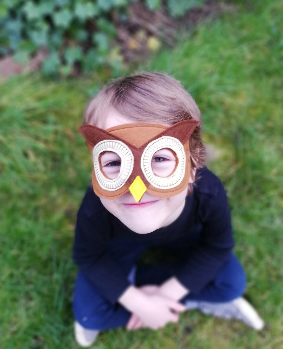 Owl Dress Up Mask