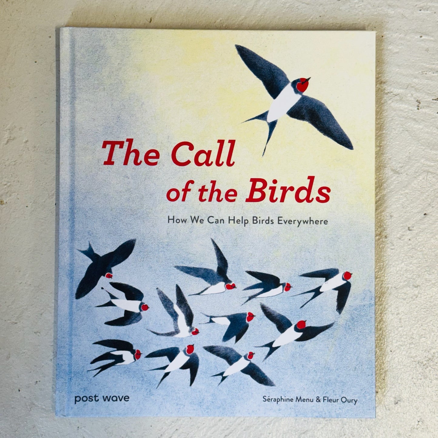 Book cover of 'The Call of the Birds' with birds and text on a light background