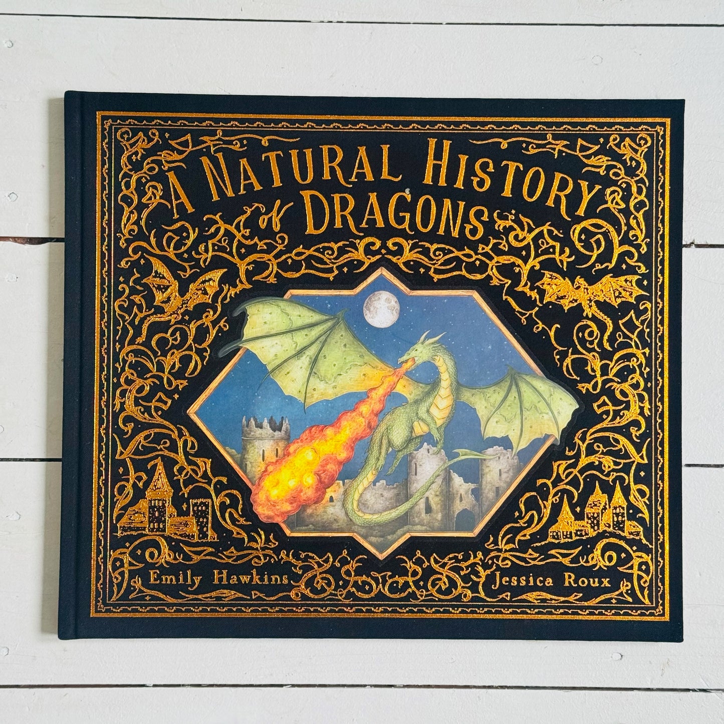 A Natural History of Dragons | Emily Hawkins