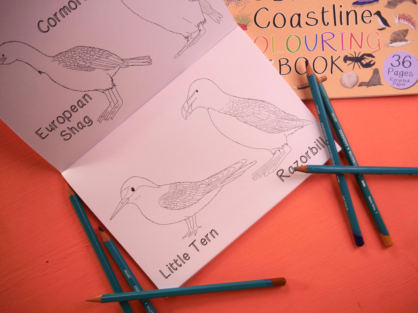 Amazing British Coastline Colouring Book