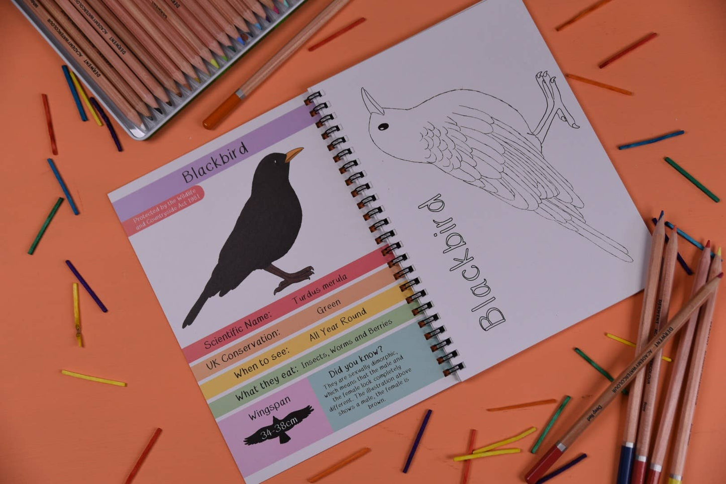 Amazing British Garden Birds Fact and Activity Book