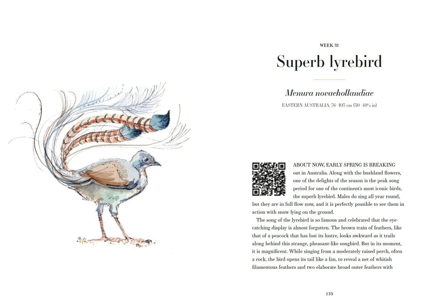 A Year of Birdsong | Dominic Couzens