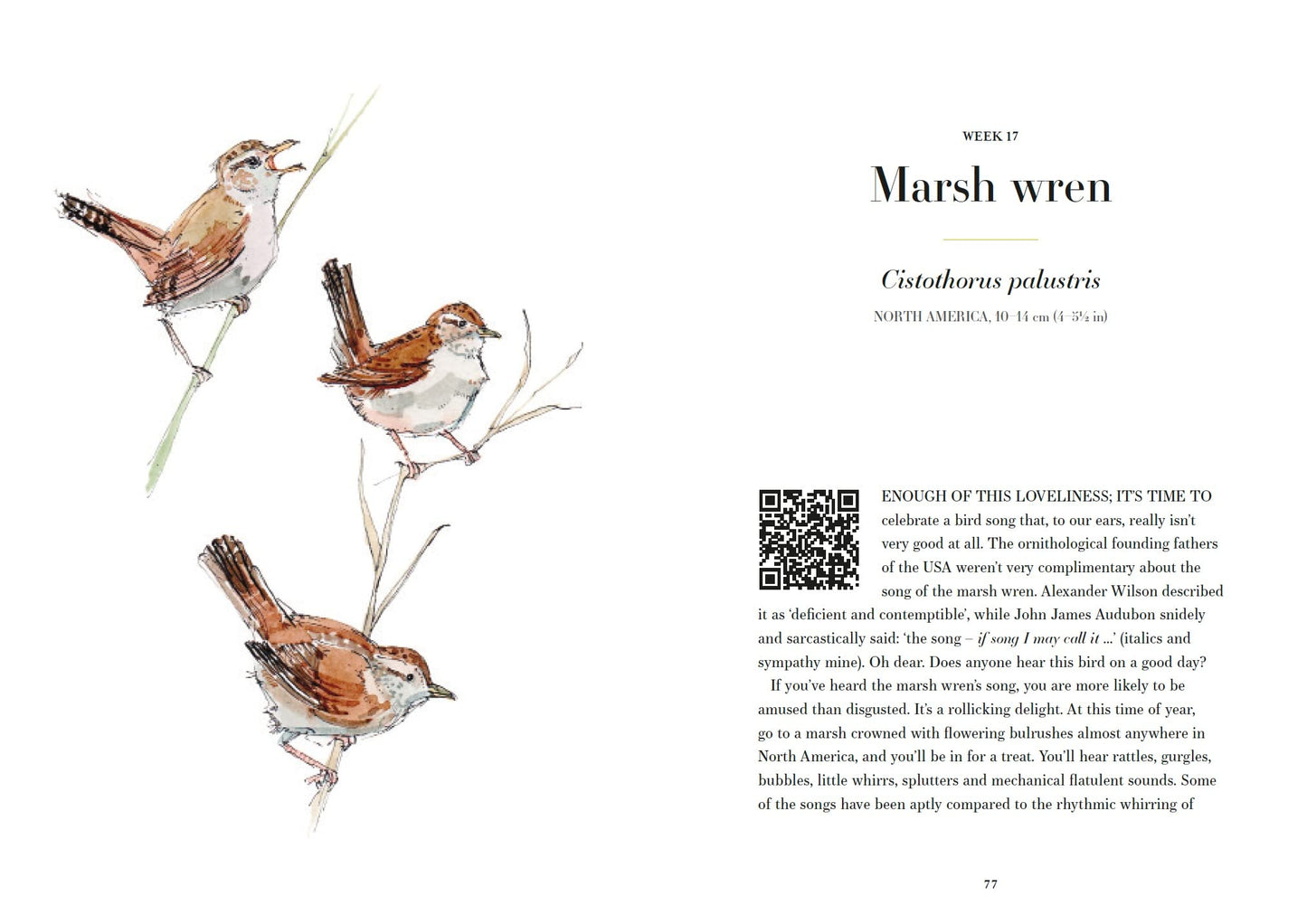 A Year of Birdsong | Dominic Couzens