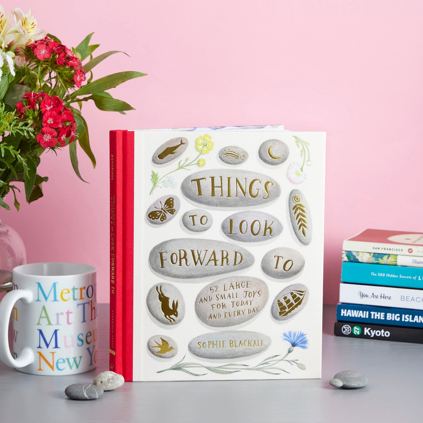 Things to Look Forward To | Sophie Blackall