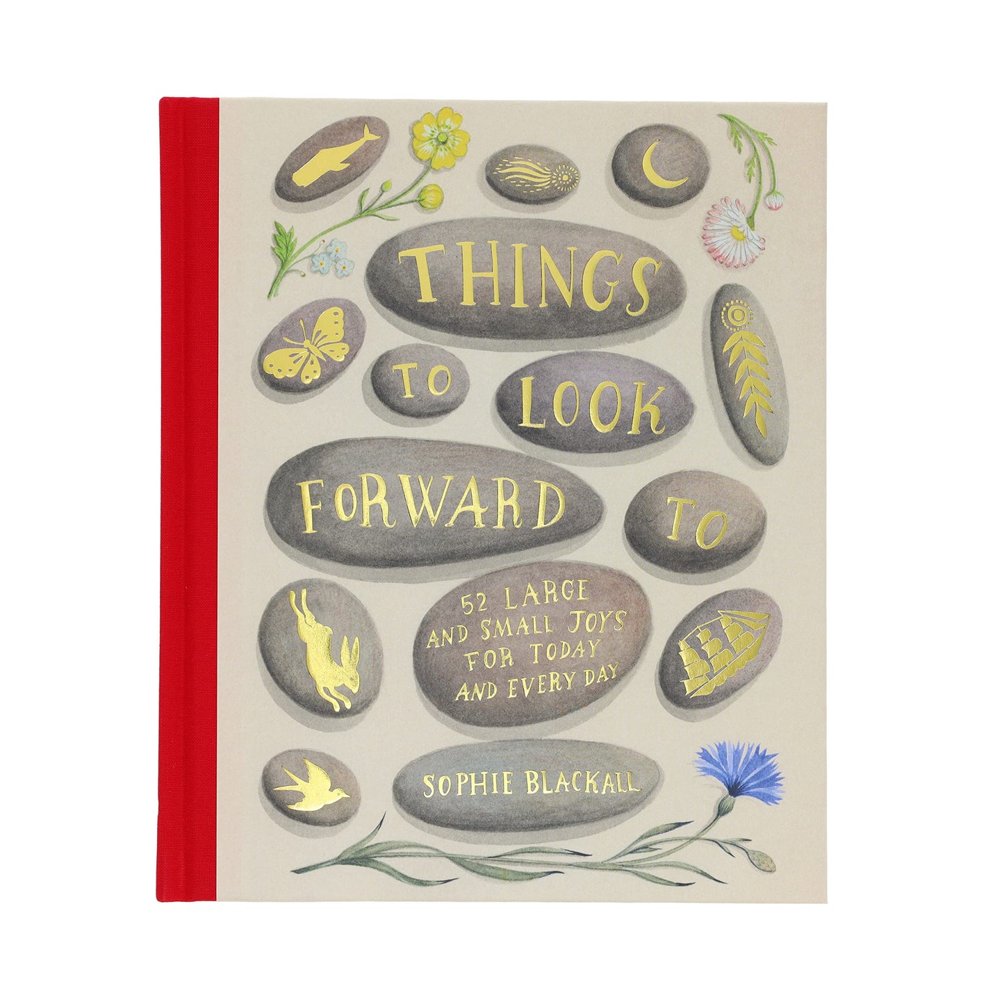 Things to Look Forward To | Sophie Blackall