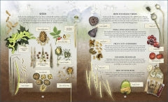 The Nature Explorer’s Scrapbook