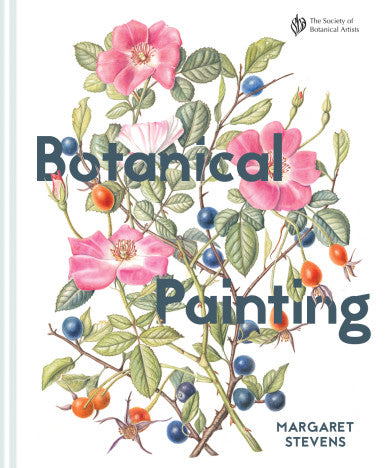 Botanical Painting | Margaret Stevens