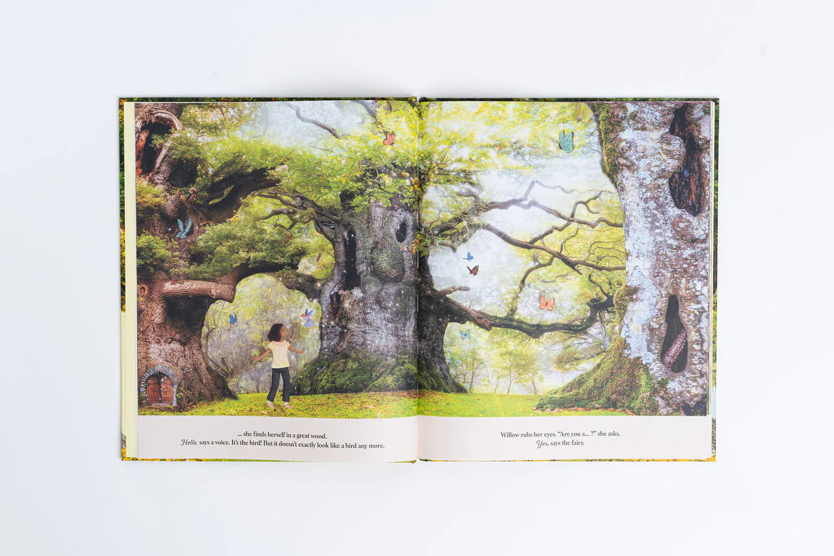 Through The Fairy Door | Gabby Dawnay