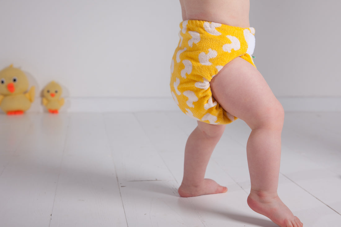 tots bots reusable cloth nappy