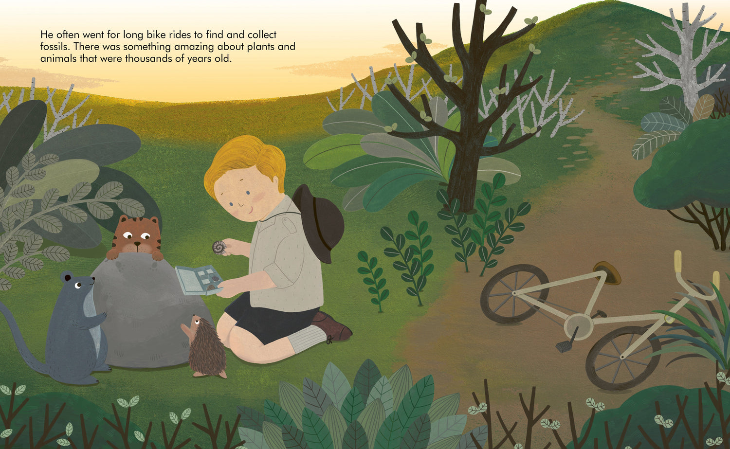 little people big dreams david attenborough