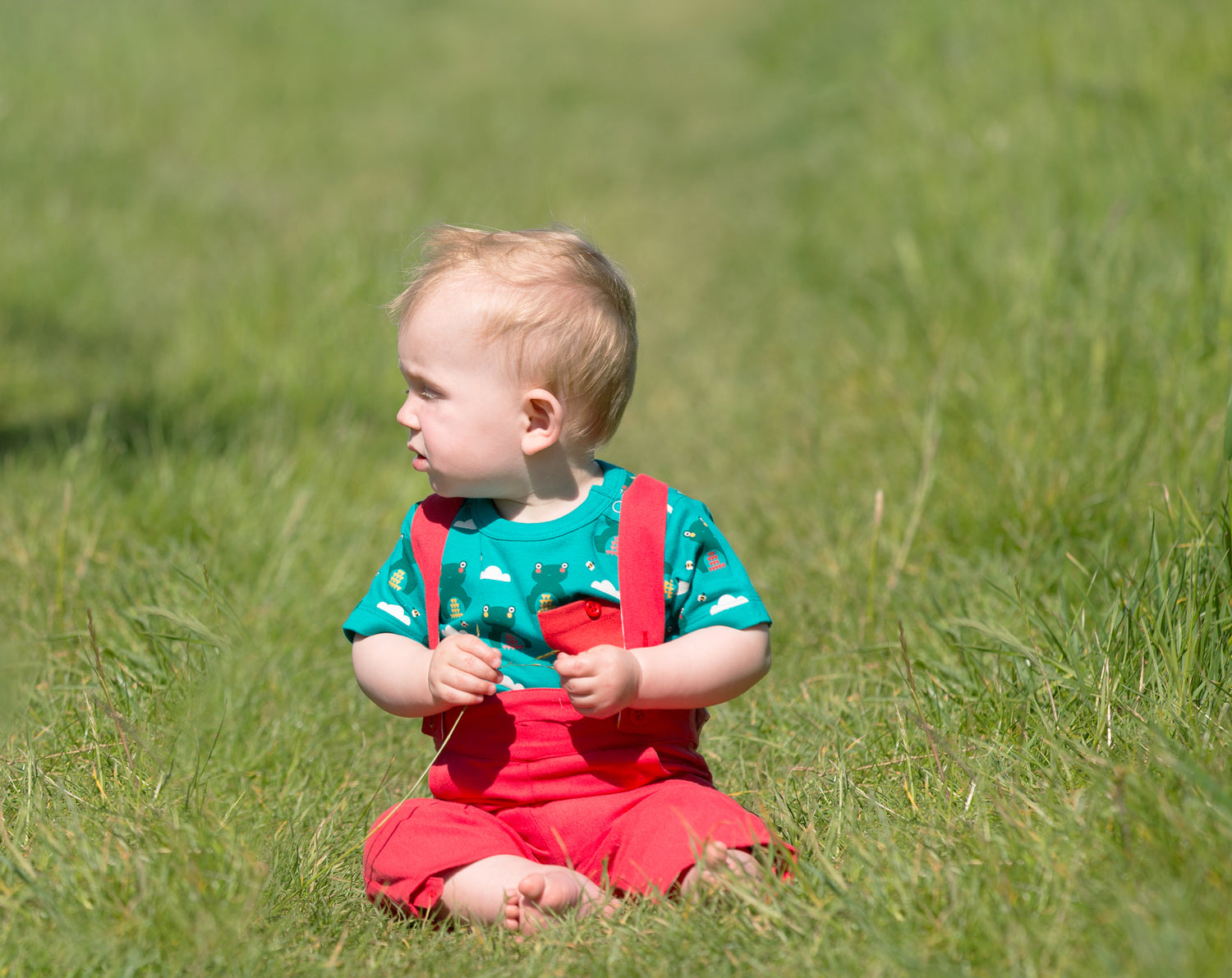 Little Green Radicals