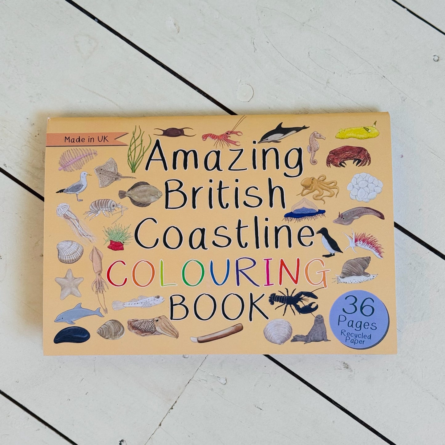 Amazing British Coastline Colouring Book