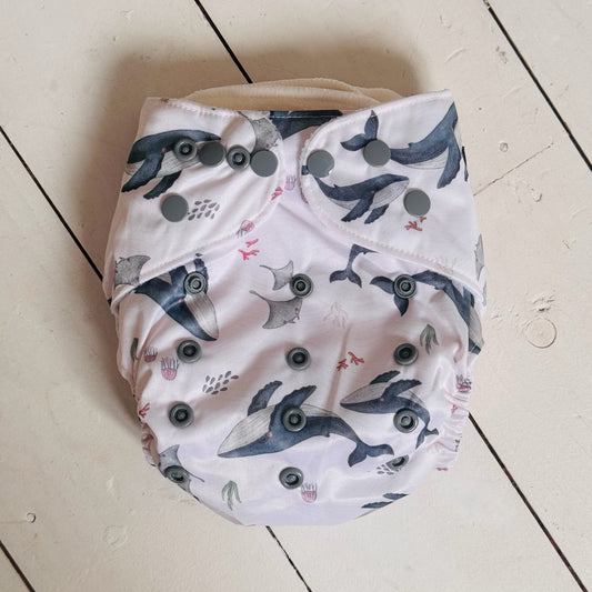 The Pokkit Cloth Nappy | Marina