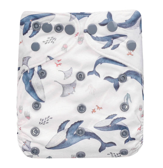 The Pokkit Cloth Nappy | Marina