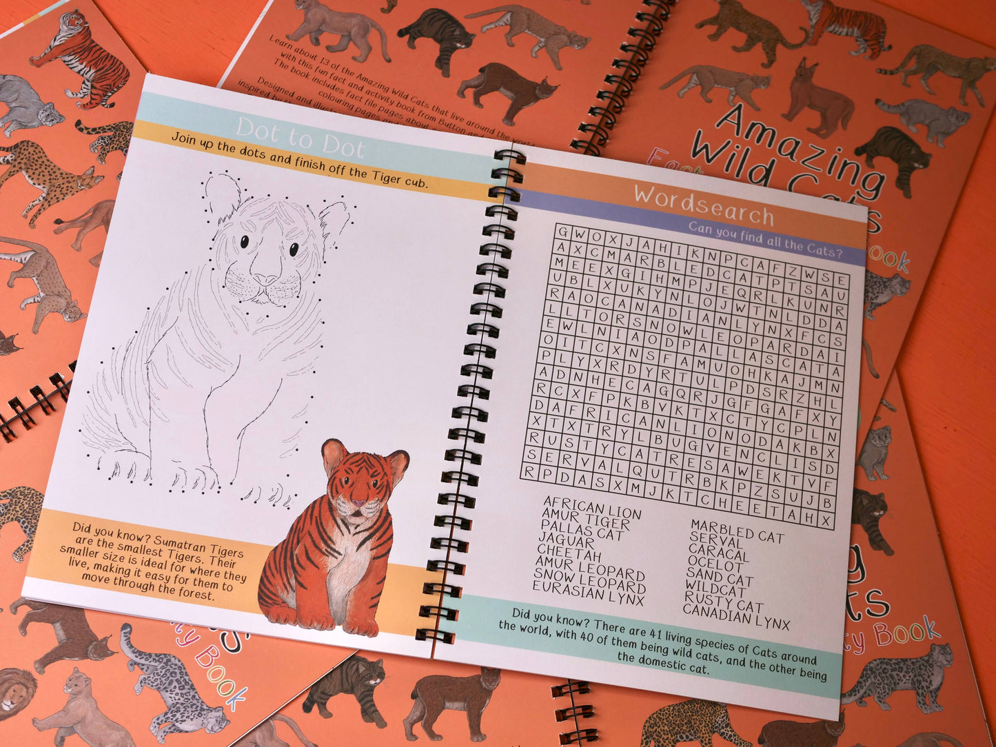 Amazing Wild Cats Fact and Activity Book