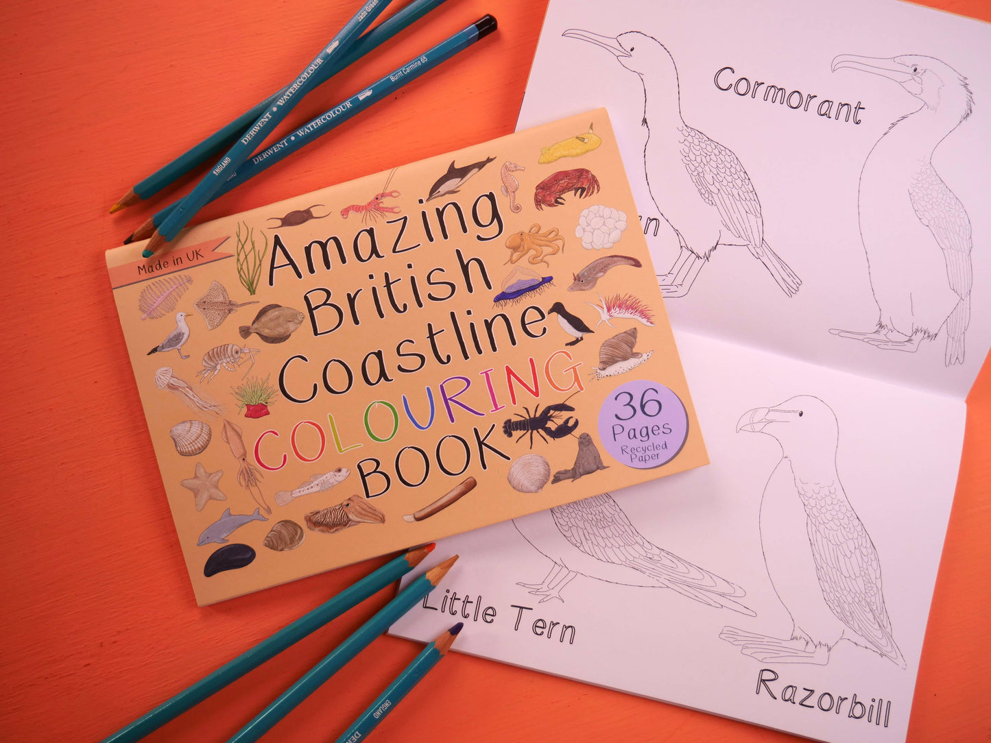 Amazing British Coastline Colouring Book