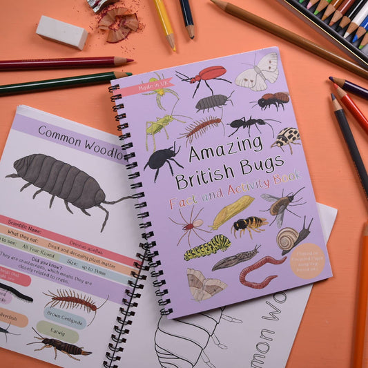 Amazing British Bugs Fact and Activity Book 