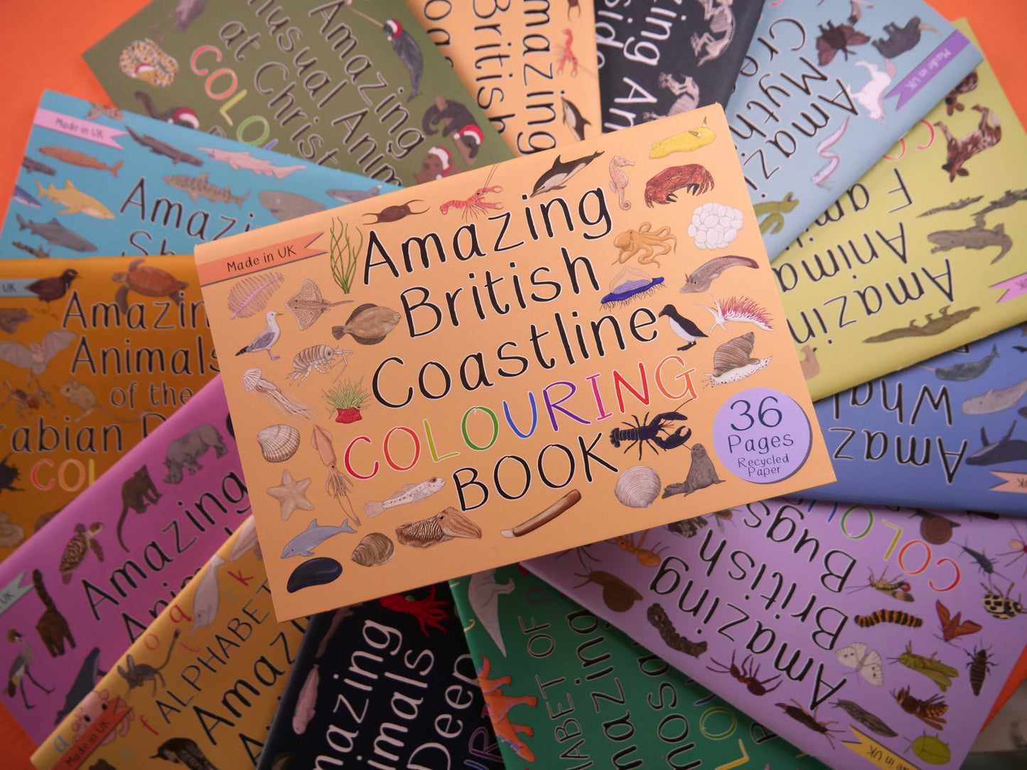 Amazing British Coastline Colouring Book