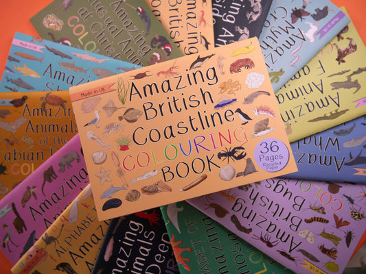 Amazing British Coastline Colouring Book
