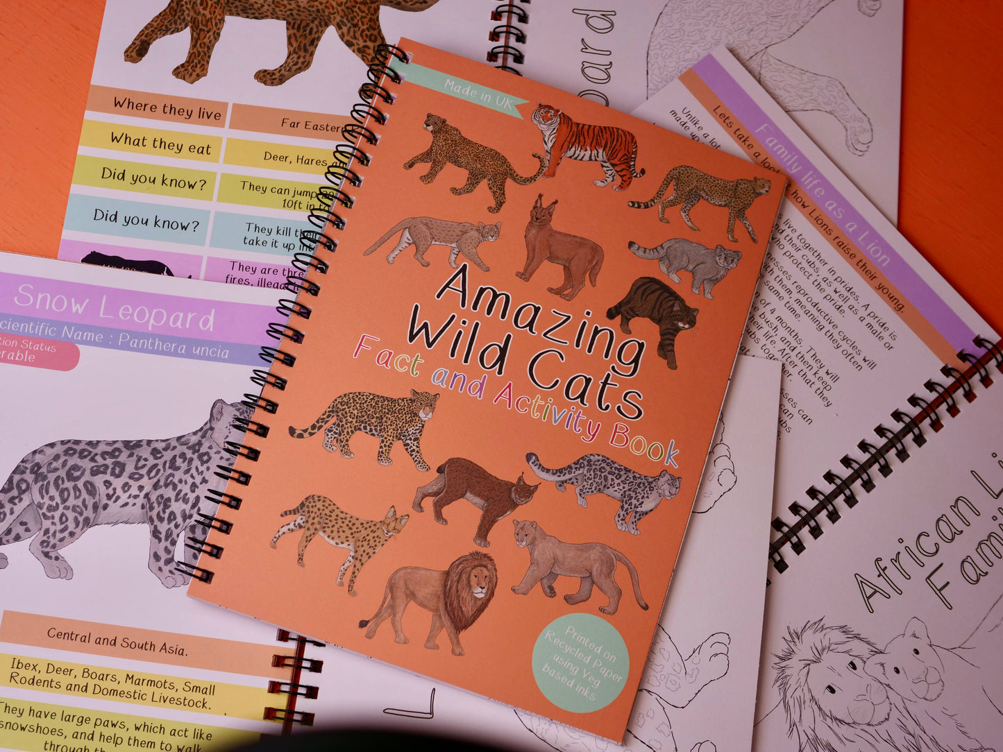 Amazing Wild Cats Fact and Activity Book