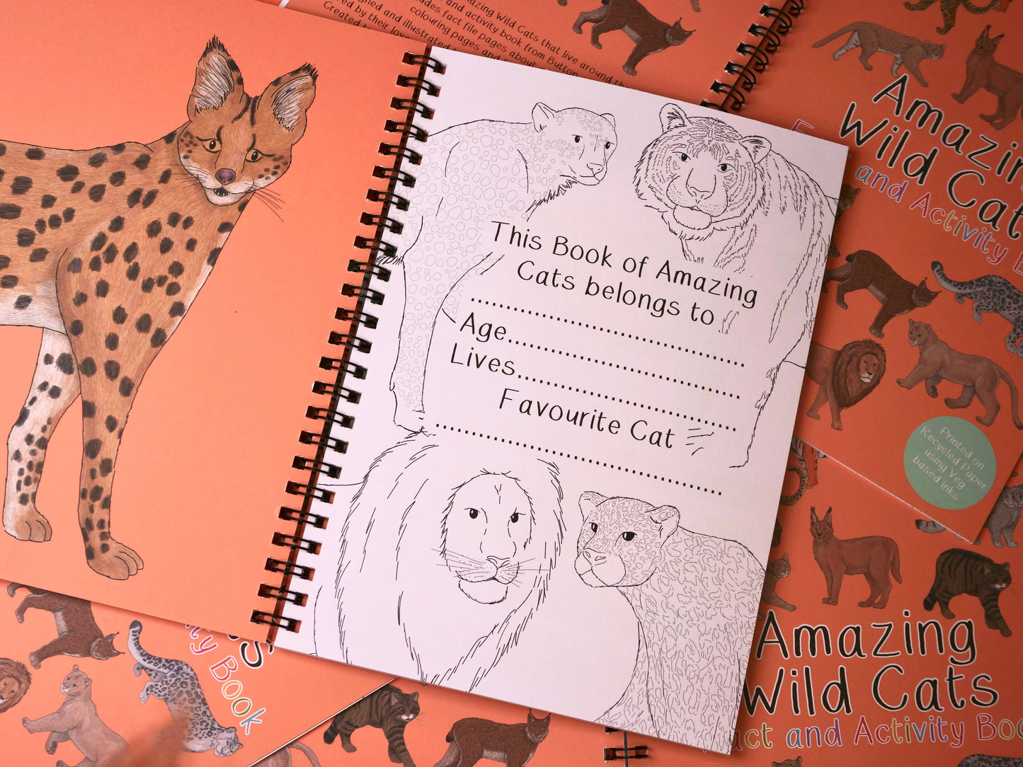 Amazing Wild Cats Fact and Activity Book