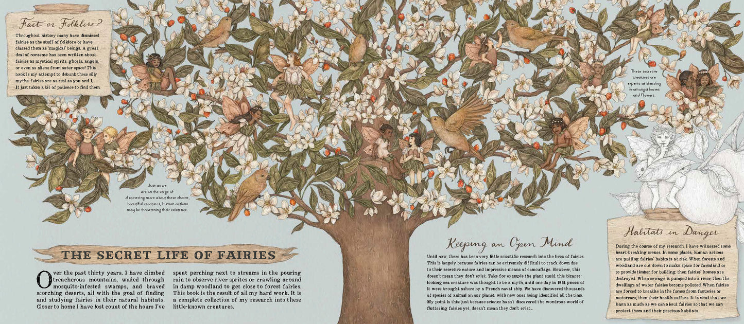 A Natural History of Fairies | Emily Hawkins