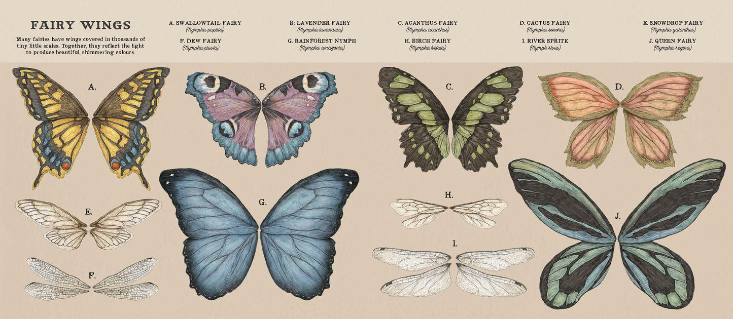 A Natural History of Fairies | Emily Hawkins