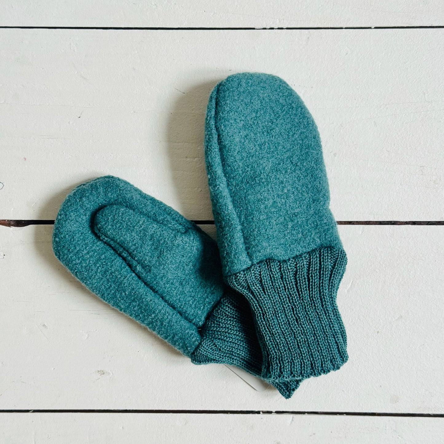 Organic Merino Boiled Wool Gloves | Eucalyptus