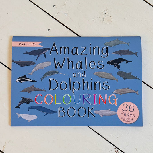 Amazing Whales and Dolphins Colouring Book