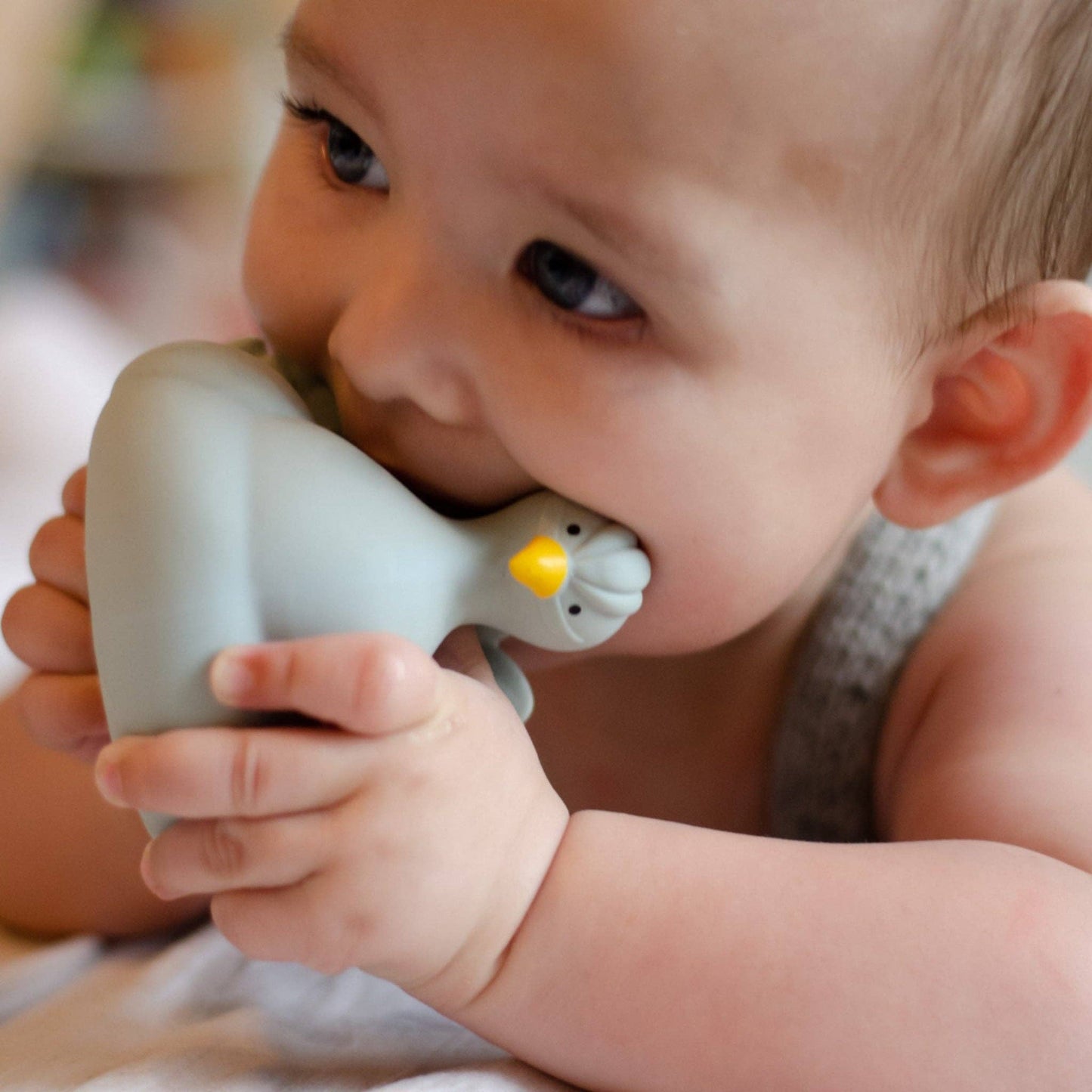 Natural Rubber Bath Toy | Light Blue Peacock