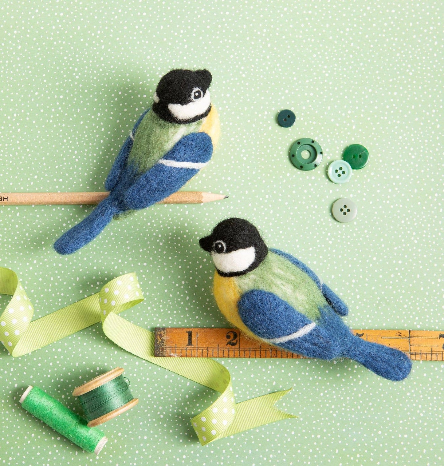 Needle Felting Kit | Great Tits