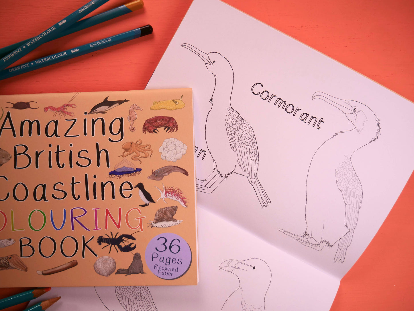 Amazing British Coastline Colouring Book