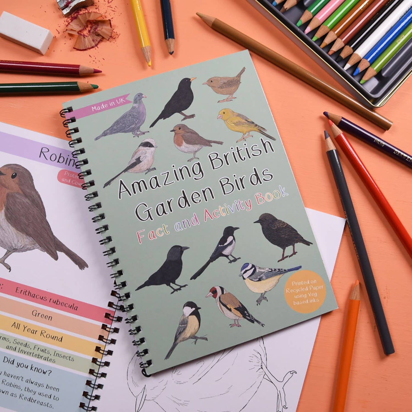 Amazing British Garden Birds Fact and Activity Book 
