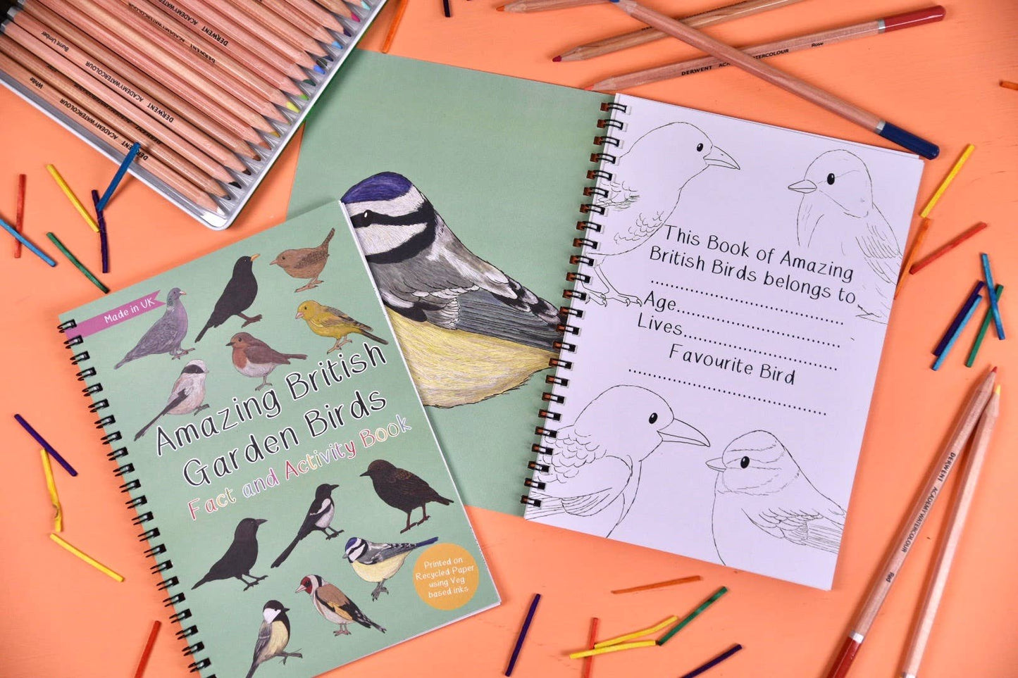 Amazing British Garden Birds Fact and Activity Book 