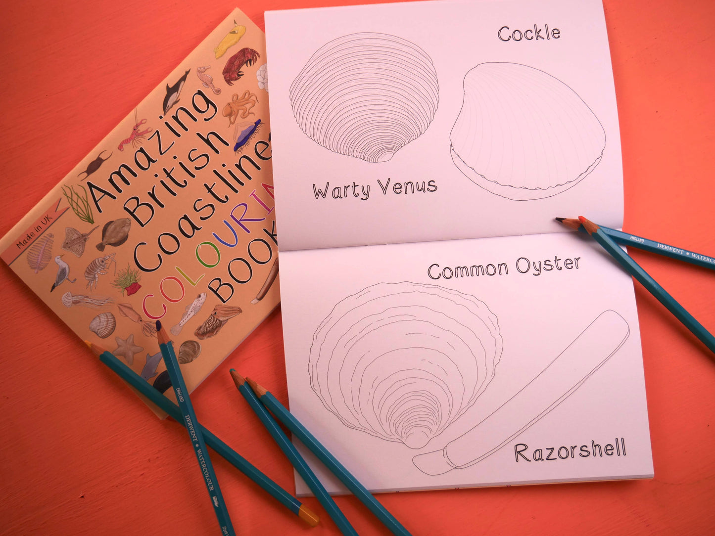 Amazing British Coastline Colouring Book