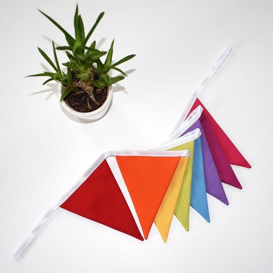 Rainbow Mini Bunting