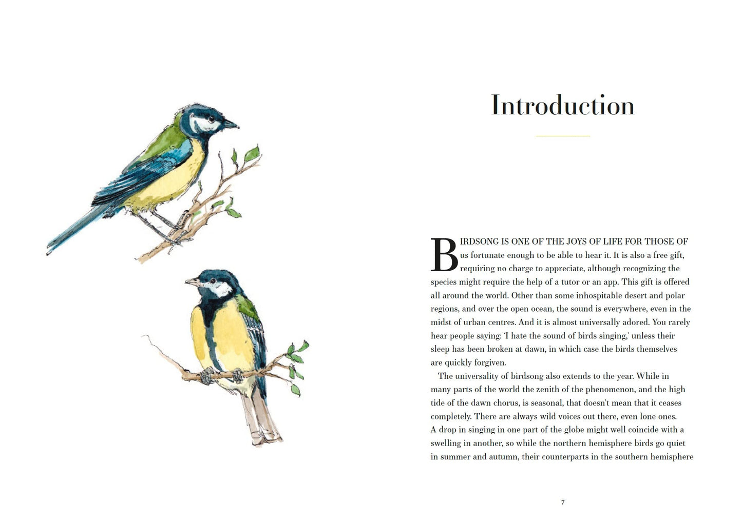A Year of Birdsong | Dominic Couzens