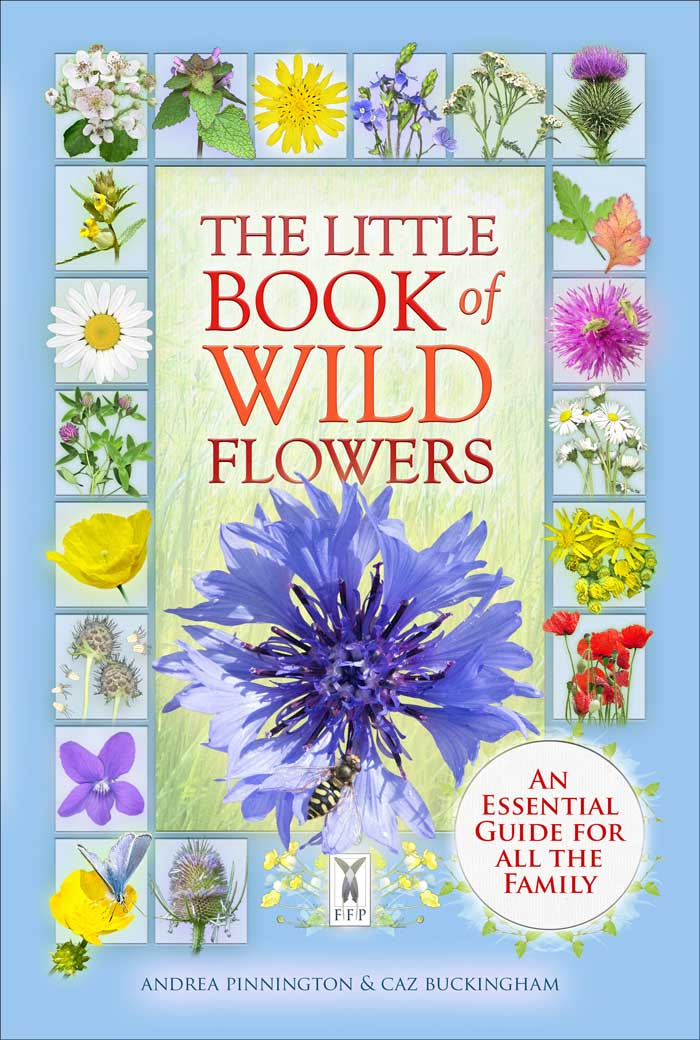 Little Book of Wild Flowers