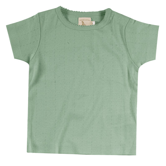 Pointelle T Shirt | Green