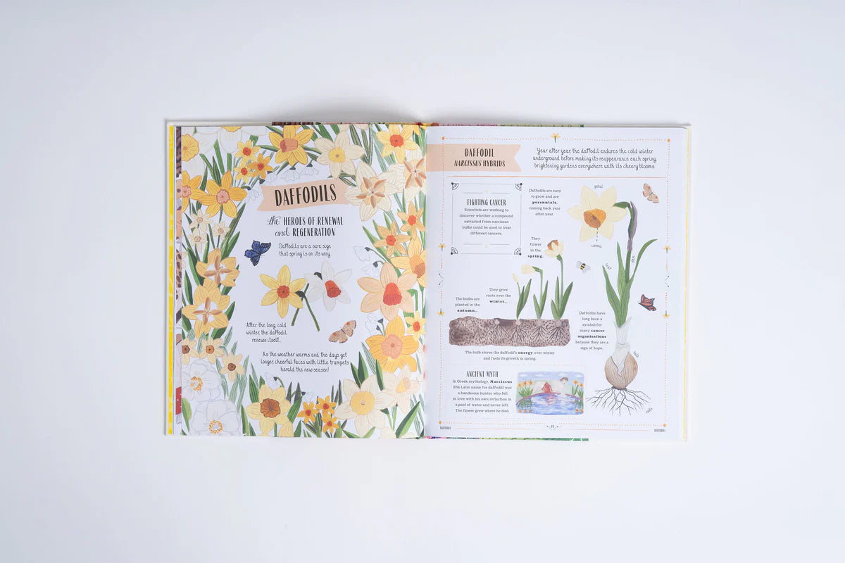 Grow | Rizanino Reyes