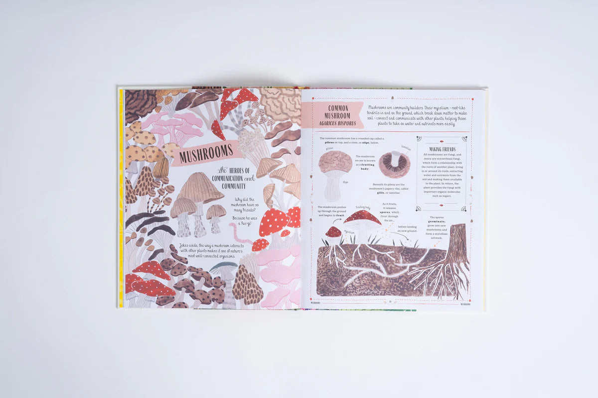 Grow | Rizanino Reyes