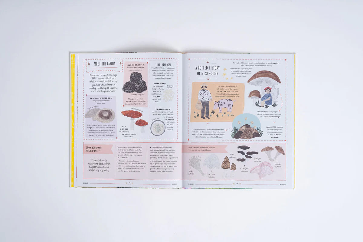 Grow | Rizanino Reyes