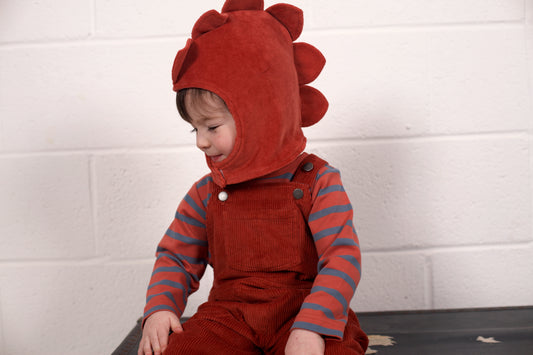 Animal Hat | Dinosaur